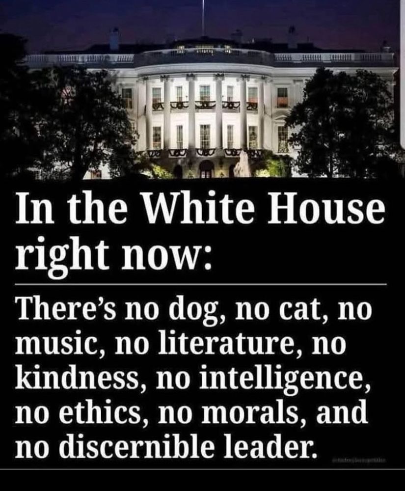In the White House right now:
There's no dog, no cat, no music, no literature, no kindness, no intelligence, no ethics, no morals, and no discernible leader.