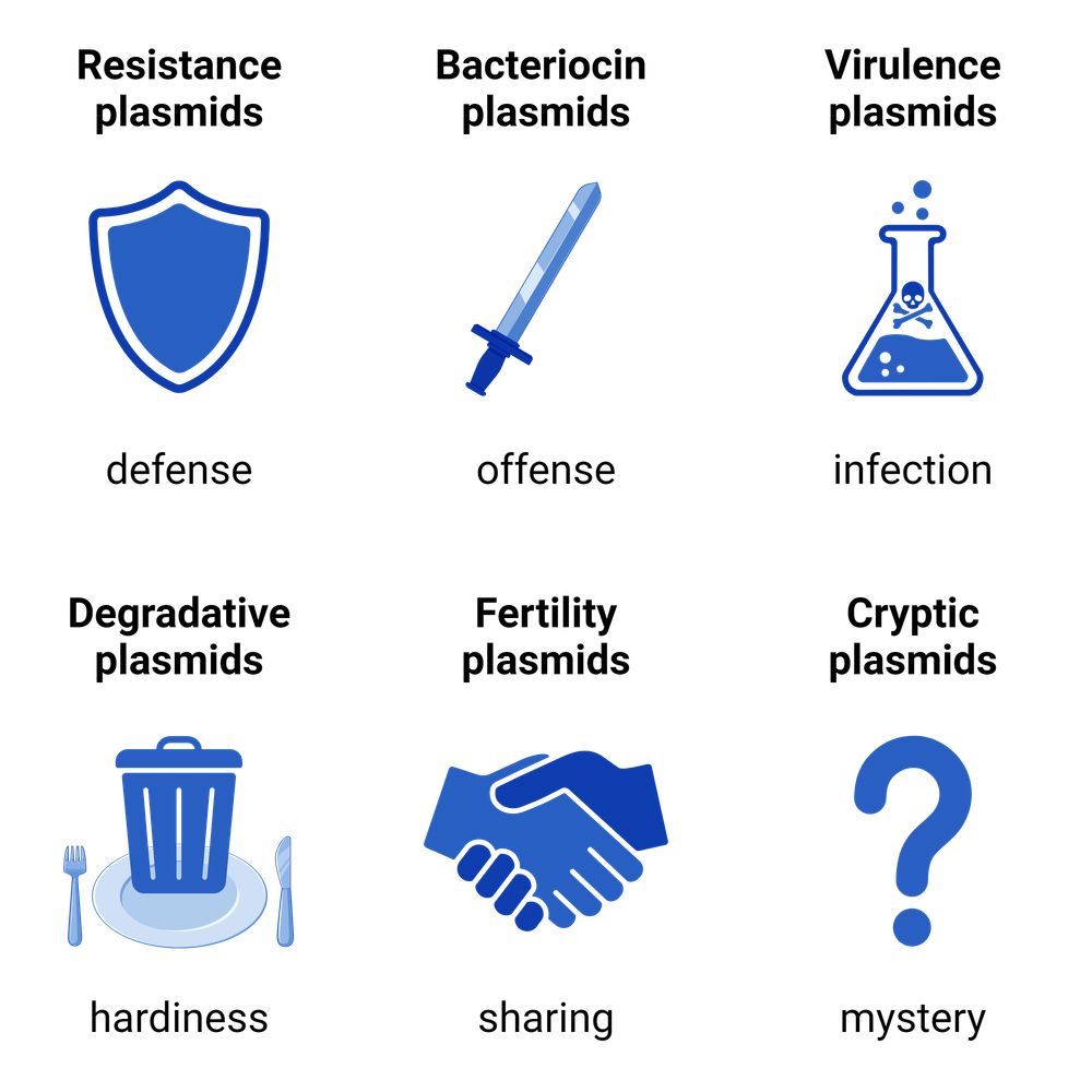 Plasmids 101: The Wide World of Natural Plasmids