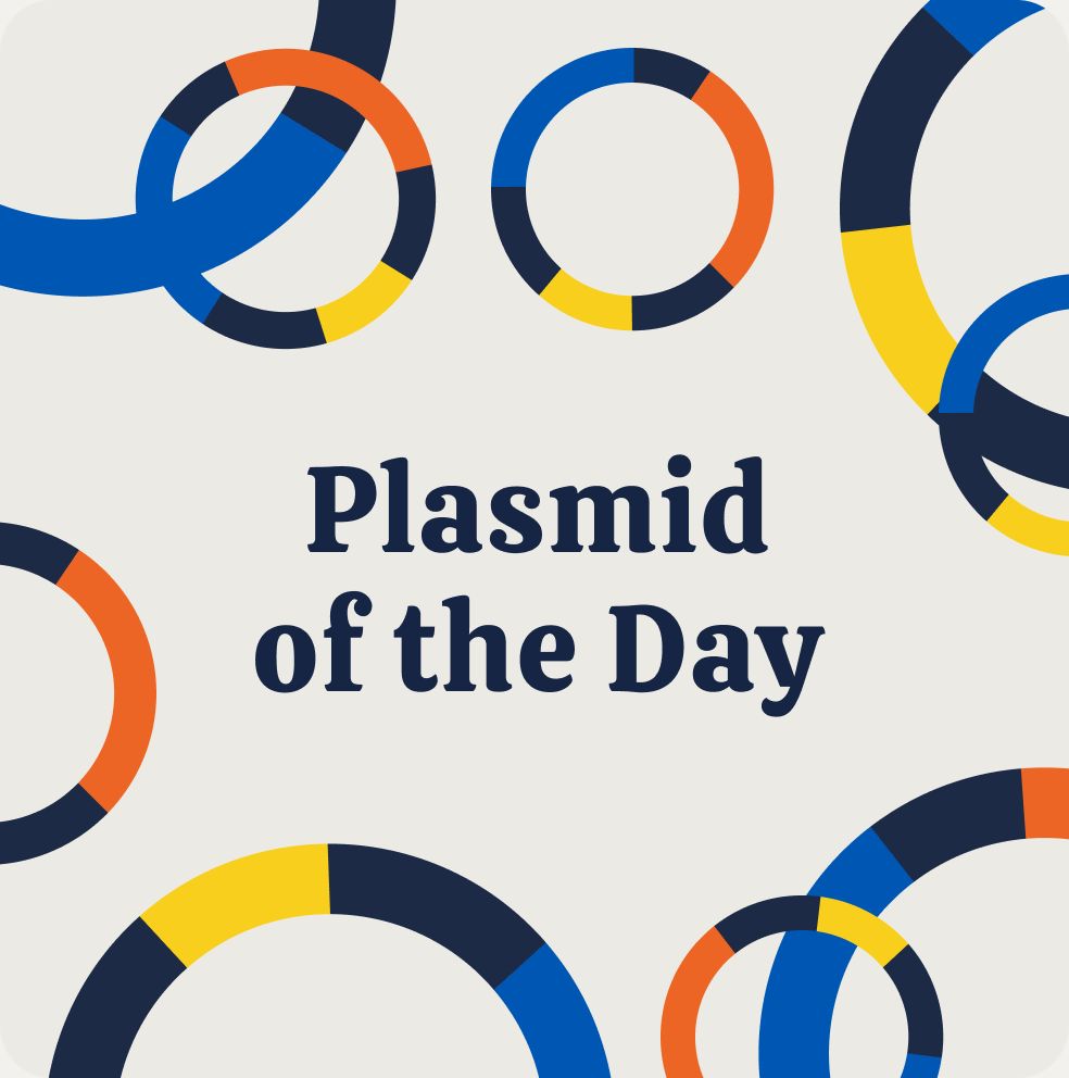 Plasmid of the Day