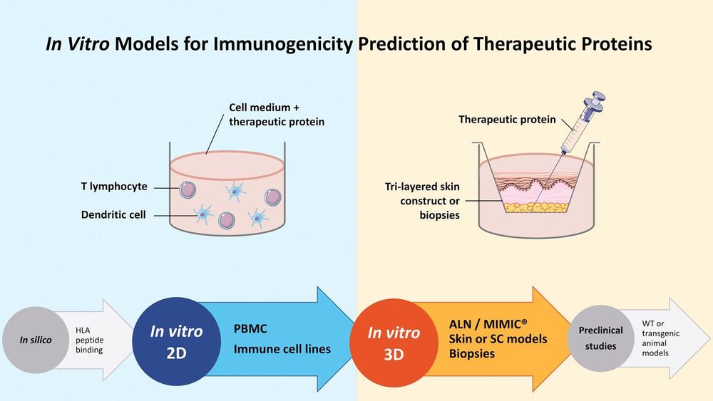 Predicting Adverse Reactions to Monoclonal Antibody Drugs