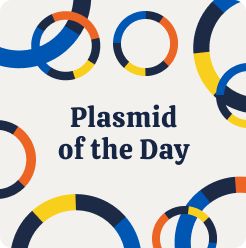 Plasmid of the Day