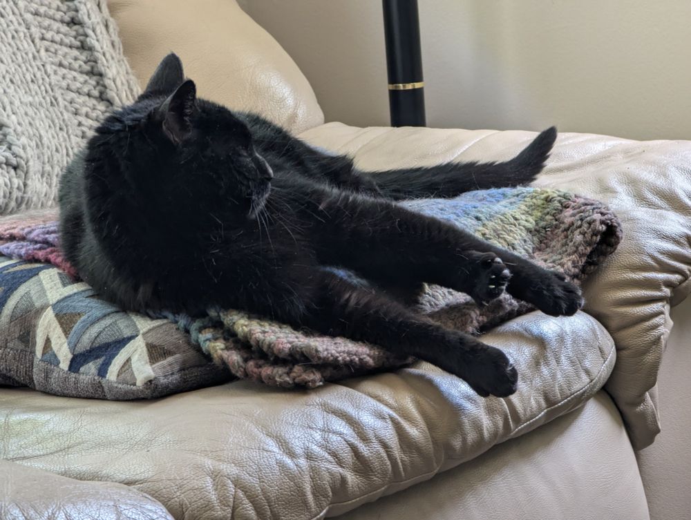 The same black cat laying on a knitted blanket laid over a pillow, on a puffy beige, not-leather couch. She's flat on her side, legs akimbo, with her eyes closed. She's either deeply pensive, or deeply pissed. (Although the bath she's having now, not pictured, would suggest pensive.)