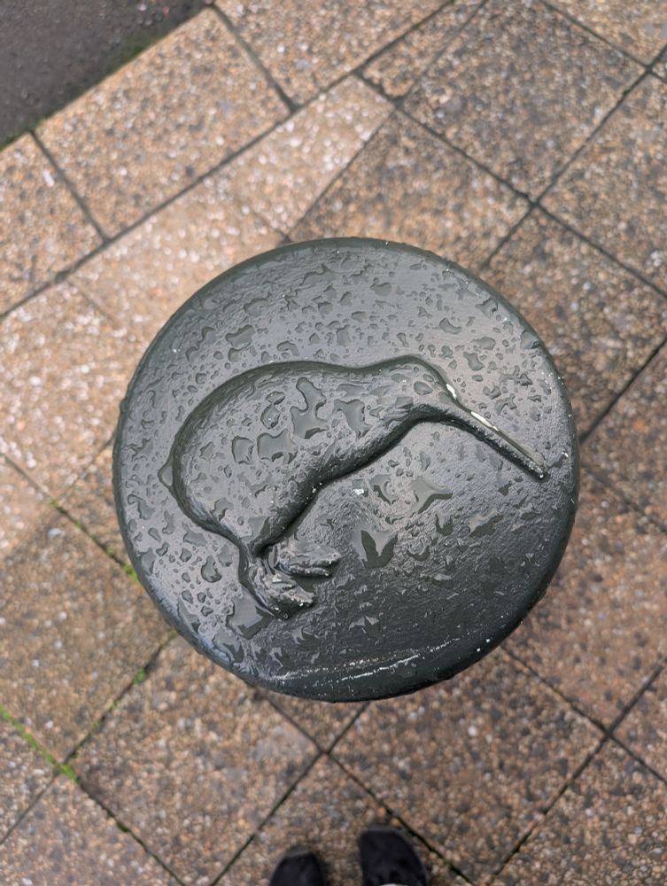 A wet kiwi motif on a bollard