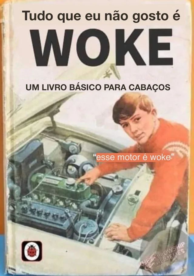 Imagem de um livro intitulado "Tudo que eu não gosto é Woke um livro básico para cabaços" onde uma criança aponta para um motor e diz "esse motor é woke"