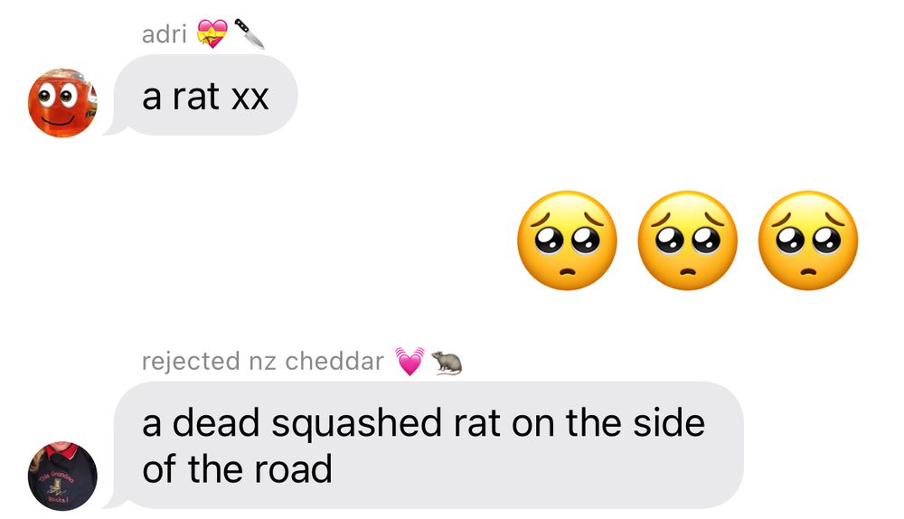 adri 💝🔪: a rat xx

me: 🥺🥺🥺

rejected nz cheddar 💓🐀: a dead squashed rat on the side of the road