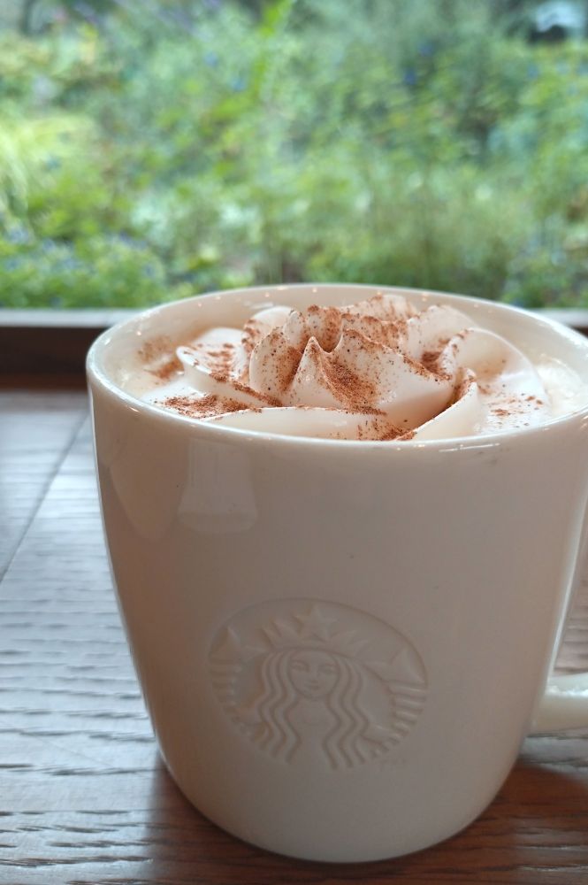 スタバのパンプキンスパイスラテ(ホット)