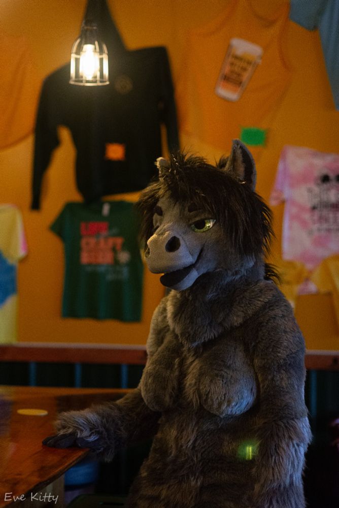 Ari in fursuit standing next to a bar with her right hand on the bar. She is a grey mare with green eyes and black mane 