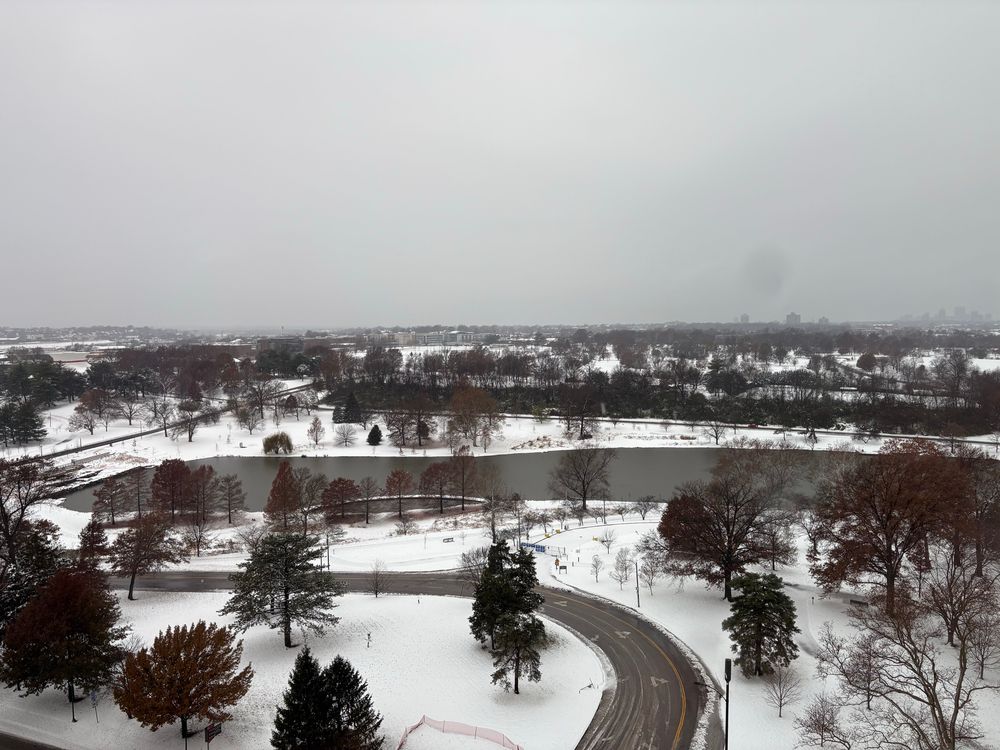 A view of Forest Park from the 8th floor of Barnes Hospital. There is a lake in the middle and snow all over the ground. 