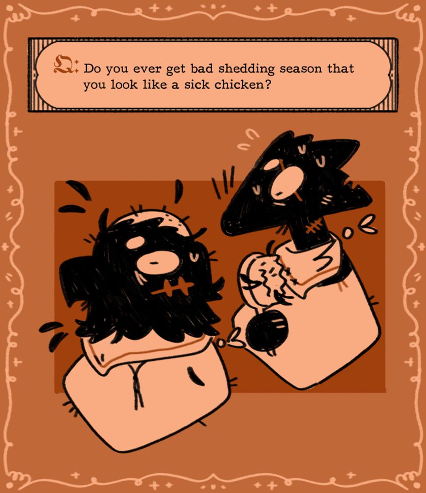 Q: Do you ever get bad shedding season that you look like a sick chicken?
Image of Joseph with the top of his head being bald, Robin beside him holding a brush with feathers sticking to it.