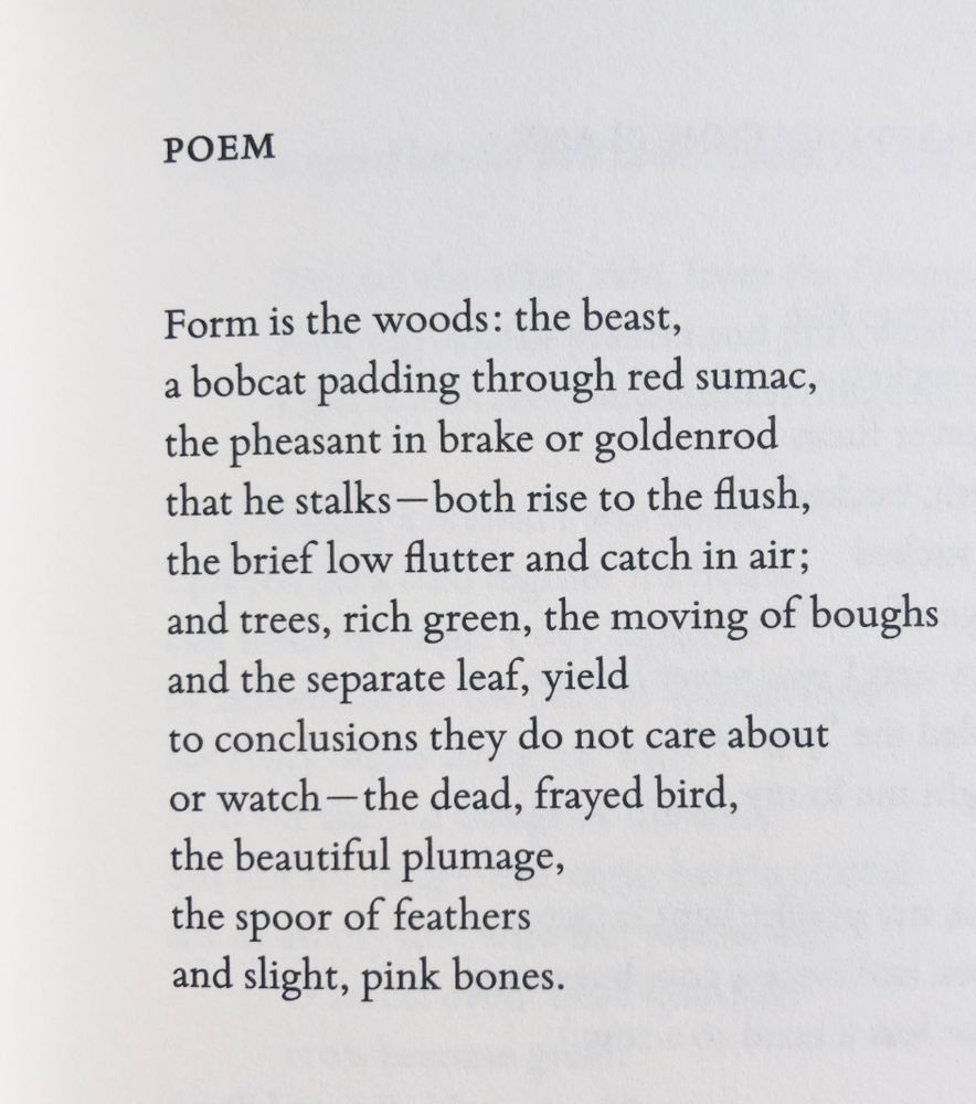 Poem by Jim Harrison

Form is the woods: the beast,
a bobcat padding through red sumac,
the pheasant in brake or goldenrod
that he stalks—both rise to the flush,
the brief low flutter and catch in air;
and trees, rich green, the moving of boughs
and the separate leaf, yield
to conclusions they do not care about
or watch—the dead, frayed bird,
the beautiful plumage,
the spoor of feathers
and slight, pink bones.