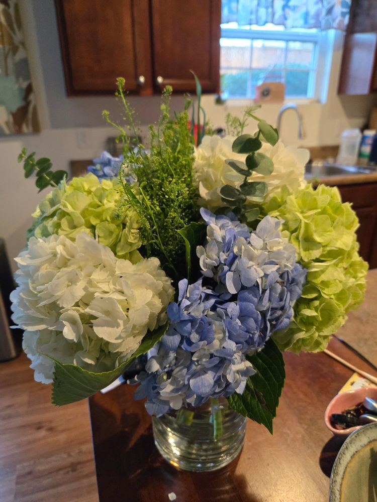 Hydrangea and greenery in a vase.