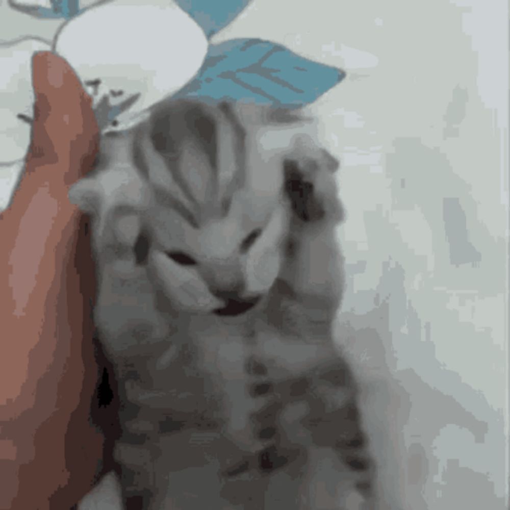 Cat Holding Head Sad Cat GIF