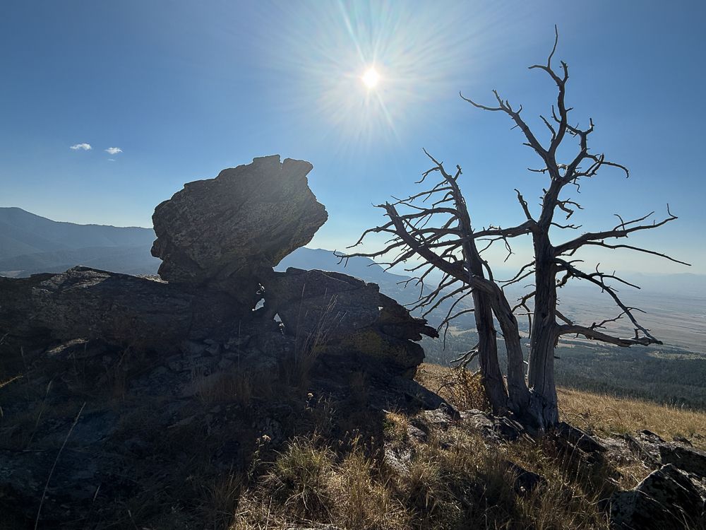 Large boulders sit on the edge of a grassy hillside next to a stark dead tree, with a blazing sun behind them and mountains in the distance