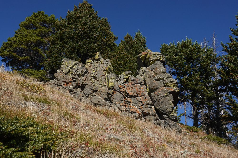 a pile of big rocks, covered in colorful lichen stands on a grassy hillside, before some pine trees