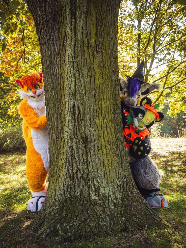 fursuiters with halloween costumes hiding behind a tree