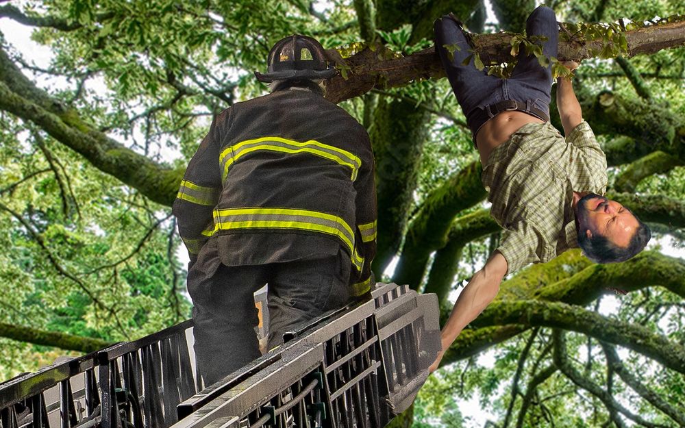 Firefighter climbing up ladder to save Pearl Jam frontman Eddie Vedder dangling from a high tree branch