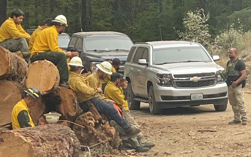 Real photo a firefighter took of federal agent staring down fire crew who had to stop fighting the largest wildfire in the state to be interrogated, which led to some being arrested