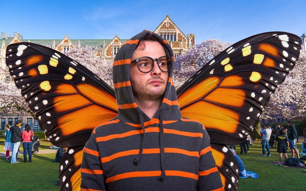 Blank-faced, unshaven, bespectacled man wearing black and orange striped hoodie, hood up, with monarch butterfly wings standing in busy, cherry blossoming UW Quad
