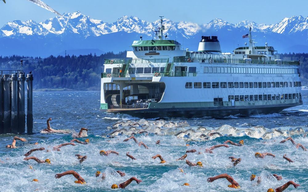Large group of people swimming away from ferry in Puget Sound to shore