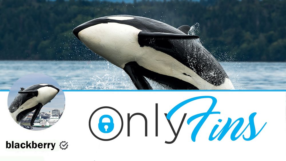 OnlyFins profile of orca with profile and banner photos of them breaching out of water