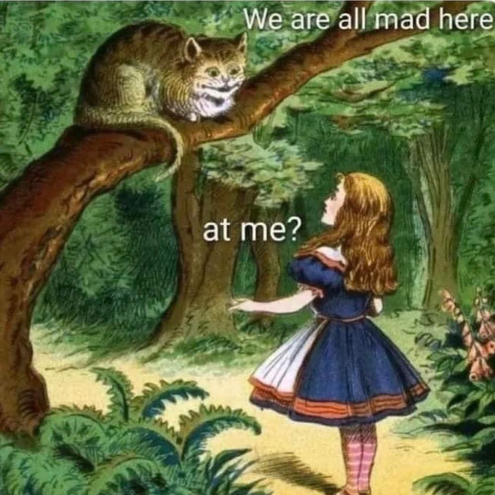 Cheshire cat- "we are all mad here"
Alice- "at me?"