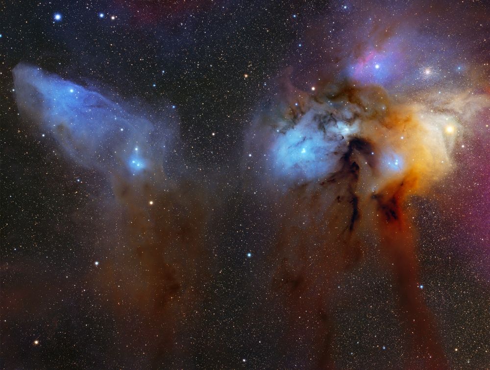 Two very colourful nebula, the blue horsehead and rho Ophiuchus
