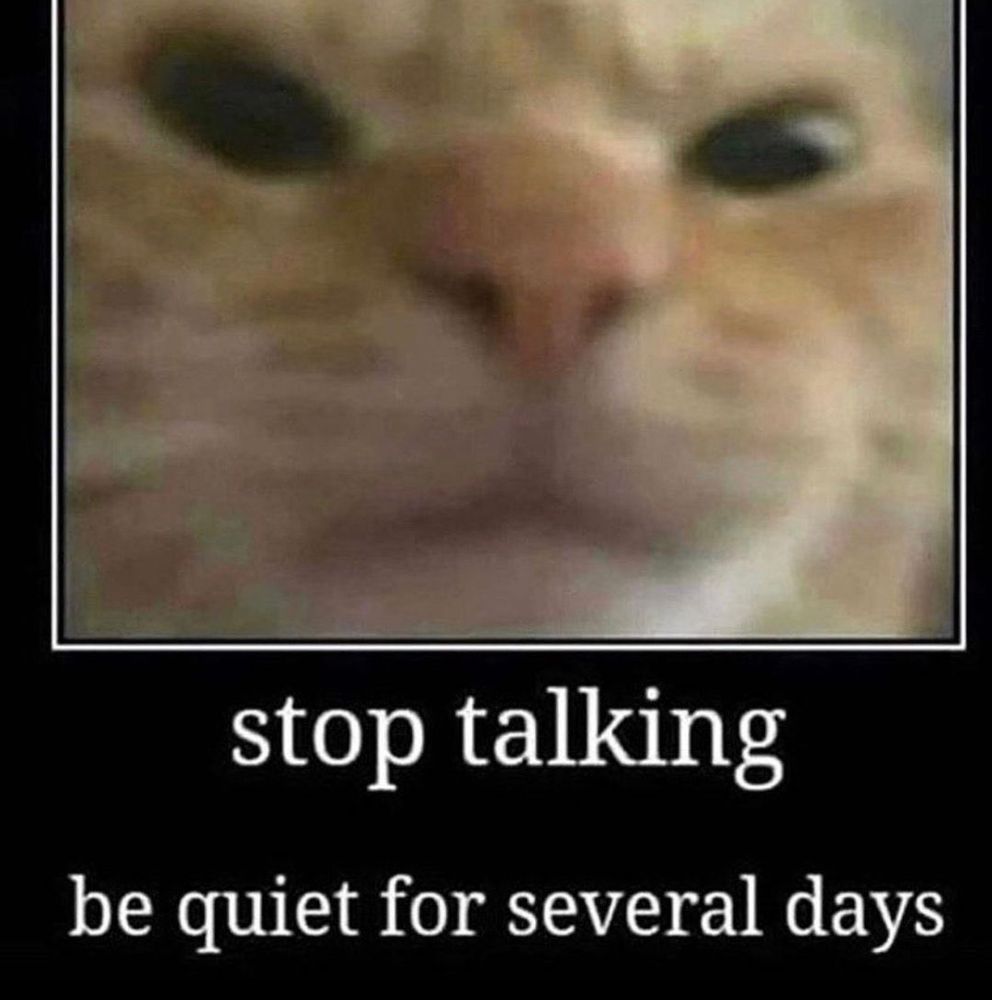 Foto de um gato laranja com expressão facial brava e embaixo a legenda (traduzido do inglês): "pare de falar. Fique quieto por vários dias"