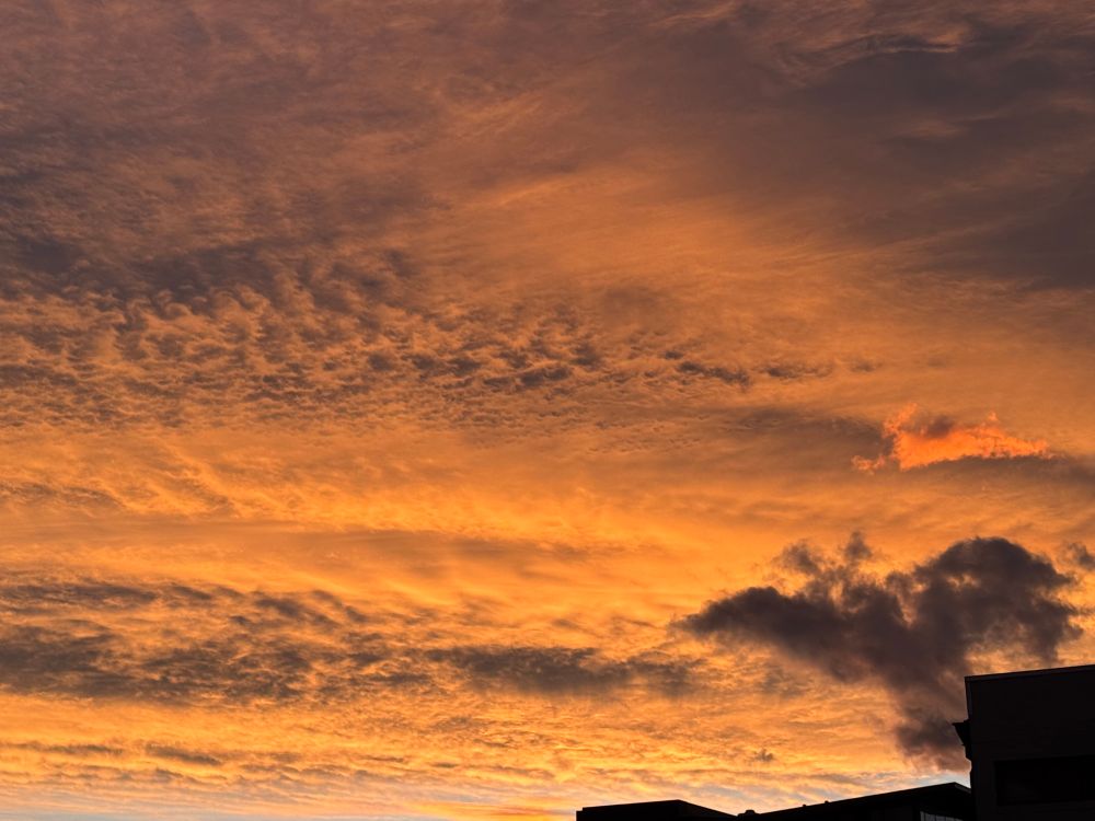 Lots of lovely orangey coloured different shaped clouds 