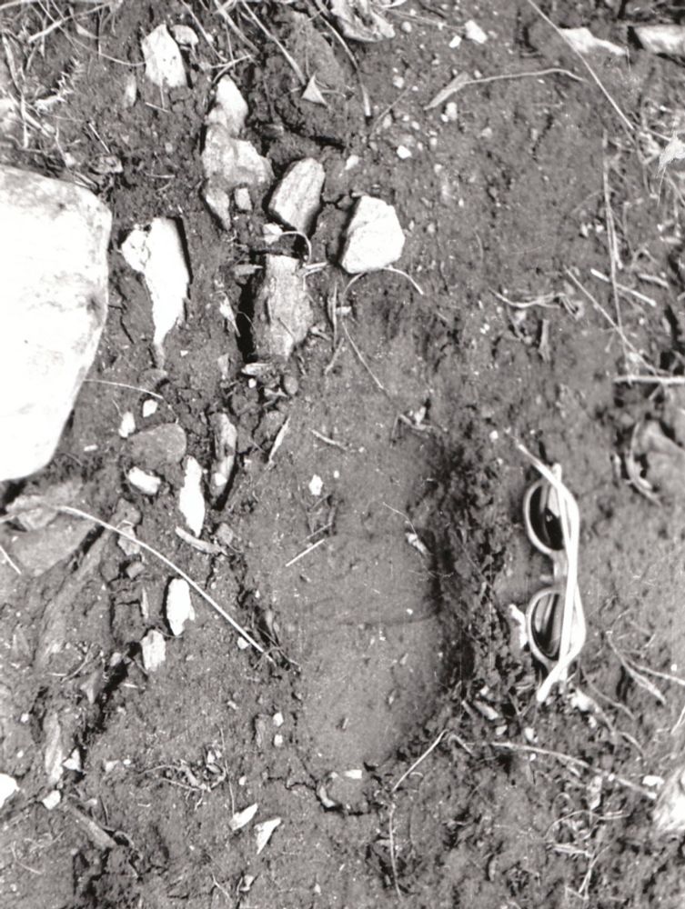 Yeti Footprints