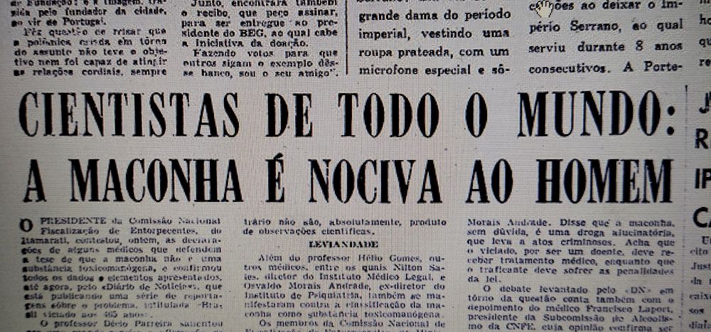 Manchete do jornal Diário de Notícias: "Cientistas de rodo o mundo: a maconha é nociva ao homem"