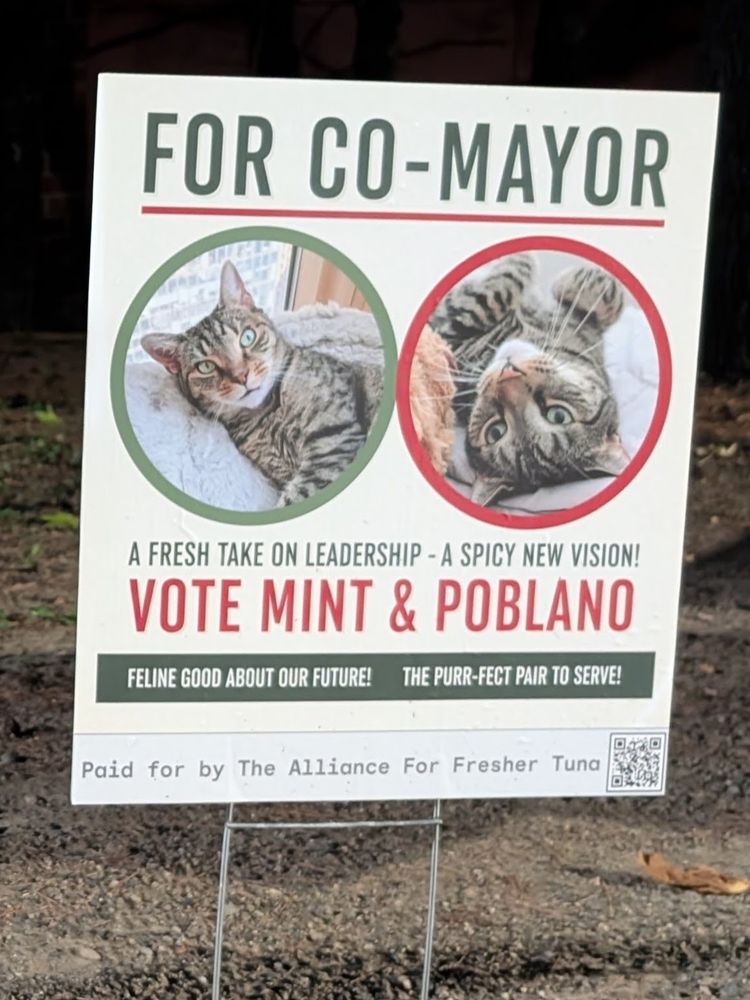 Photo of a campaign lawn poster featuring photos of two cute striped cats facing the camera, captioned
FOR CO-MAYOR
A FRESH TAKE ON LEADERSHIP - A SPICY NEW VISION!
VOTE MINT & POBLANO
FELINE GOOD ABOUT OUR FUTURE!  THE PURR-FECT PAIR TO SERVE!
Paid for by the Alliance for Fresher Tuna