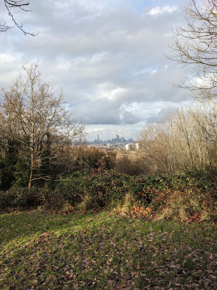 Distant view of the London skyline framed by trees on One Tree Hill.