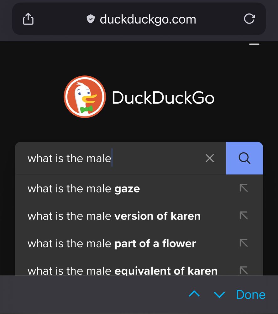 DuckDuckGo’s suggested completions of the search string “what is the male”: “what is the male gaze what is the male version of karen what is the male part of a flower what is the male equivalent of karen”