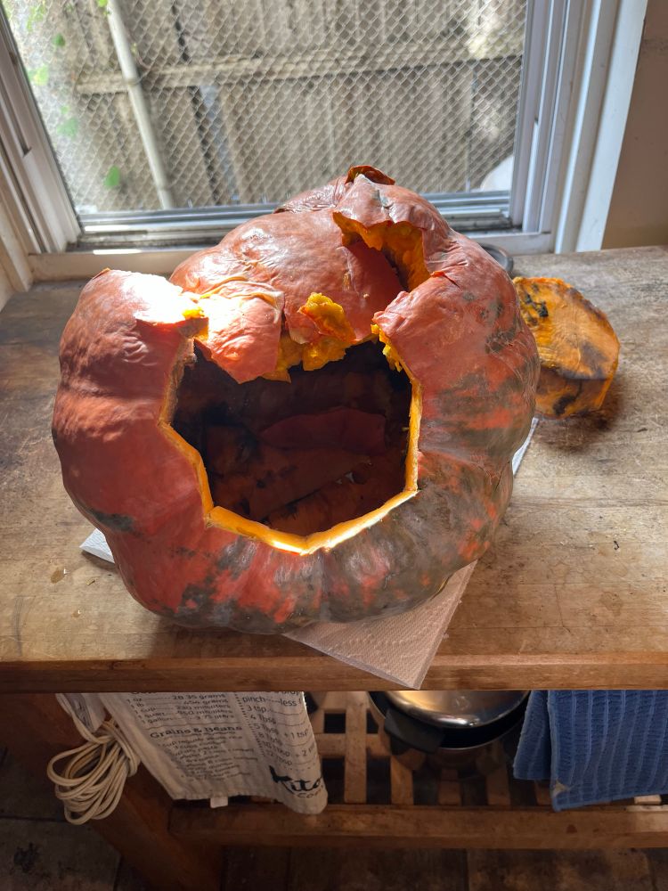 The back side of my second 2025 jack-o-lantern, that just crashed backwards off my front window sill. That went from “some fuzzy mold” to “rotted through” overnight!