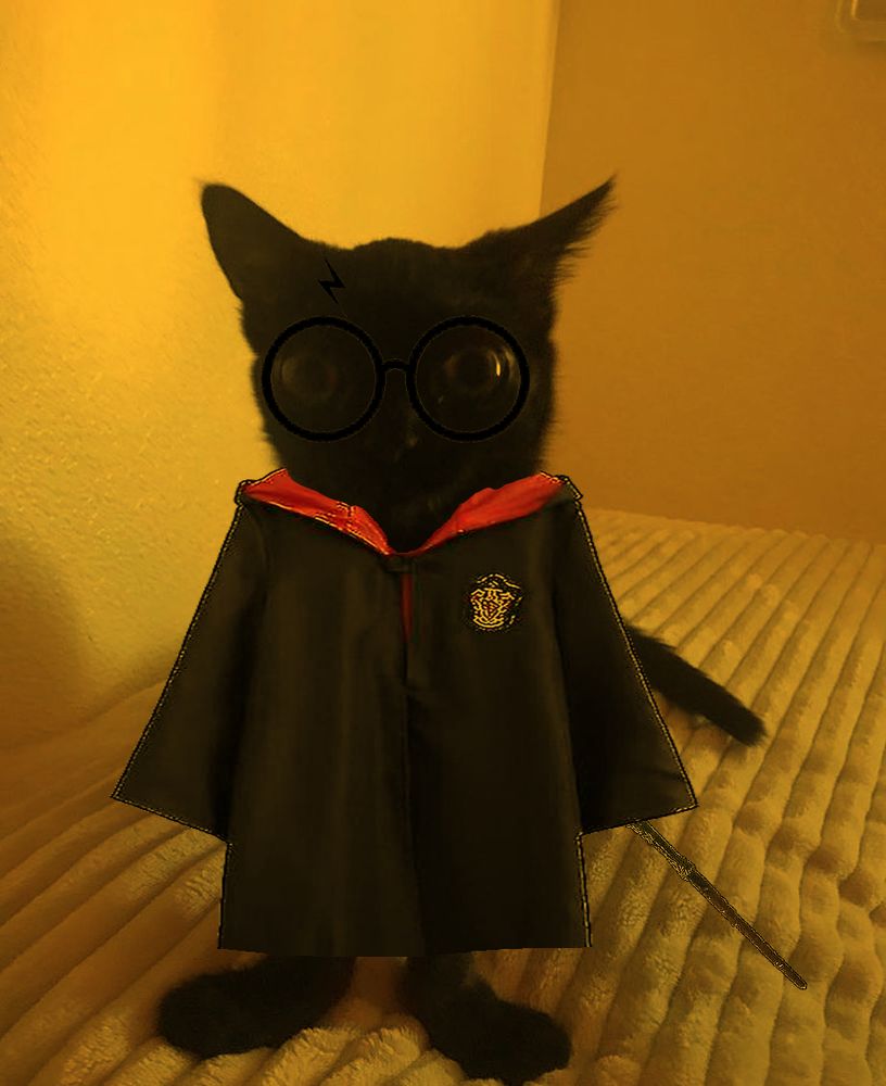 Silly Goober Cat Dressed As Harry Potter. Complete With Round Glasses, The Mark, The Outfit And A Wand.