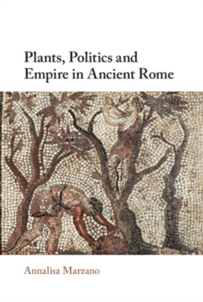 A book cover showing a Roman mosaic