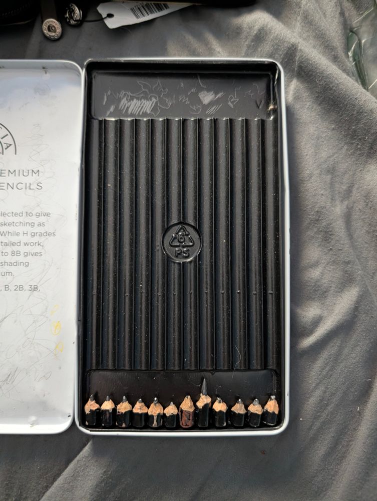 12 pencils in a metal tin, all of them less than an inch tall, a singular one is slightly taller than the rest and has a sharp point.