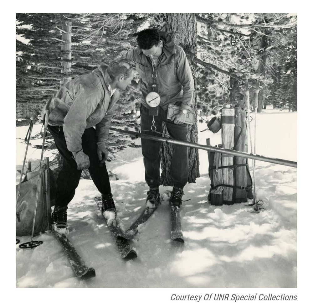 Black and white photo of two men on skis among snowy trees on a sunny day. One holds a scale weighing a long metal tube, while the other bends down to read the measurement. It is only cited as “courtesy of UNR Special Collections.”
