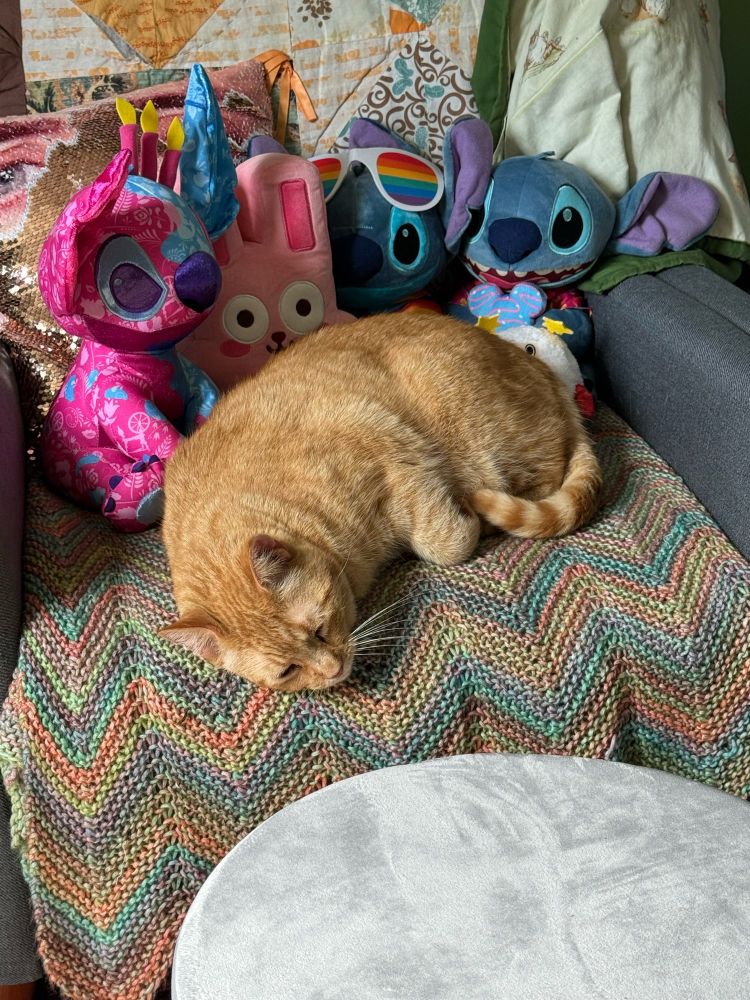 An orange tabby cat is half-asleep on a chair that has a rainbow knit blanket and some stuffed animals