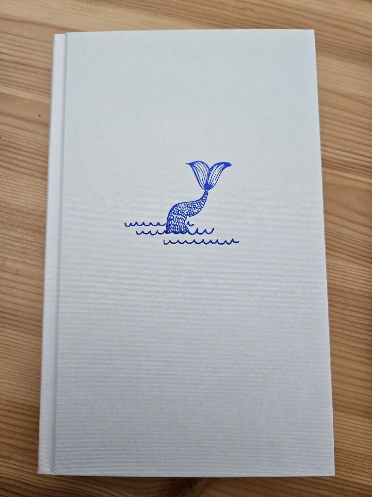 Hard cover buch in weiss mit lediglich einer blauen meerjungfrau/-mann Flosse und ein paar wellen in reflektierendem blau. Stone&Sky von Ben Aaronovitch