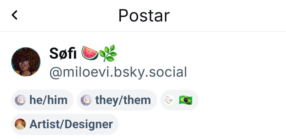 Print do meu perfil do bluesky com os labels que você pode colocar embaixo do seu arroba;
Labels, em ordem: "he/him" (ele/dele em português, "they/them" (elu/delu em português), a bandeira do Brasil e "Artist/Designer" (artista/designer em português).