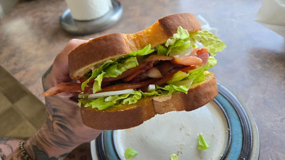 the blt closed, held in my left hand. from top to bottom: mayo, lettuce, onion, tomato, bacon, tomato, onion, lettuce, mayo. its a palindrome sandwich