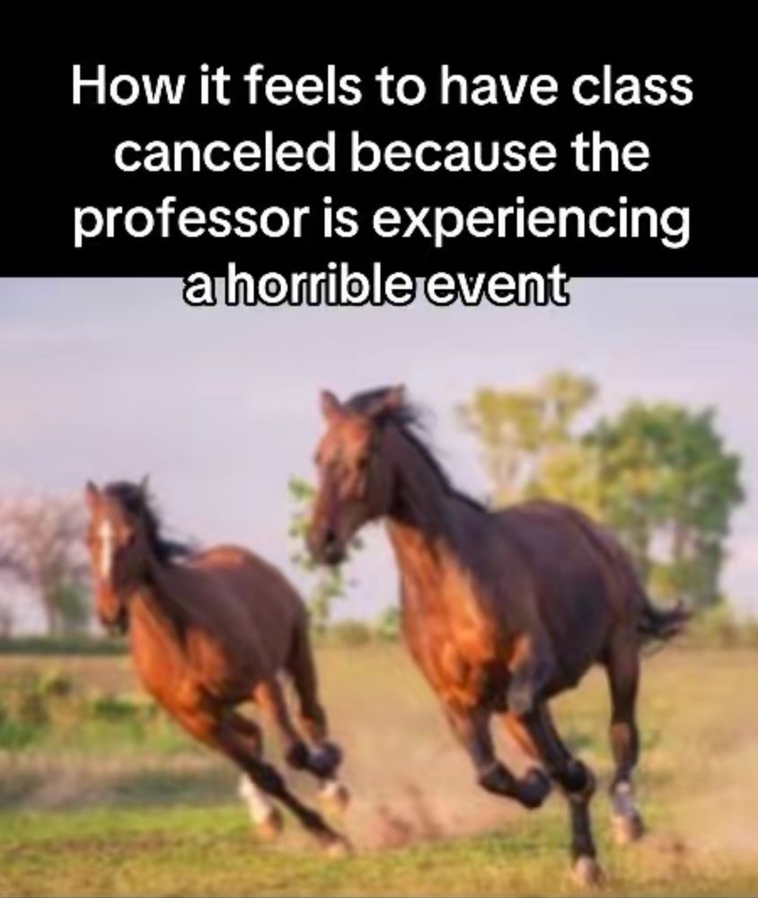 Two horses galloping with joy. Text above reads "How it feels to have class canceled because the professor is experiencing a horrible event"