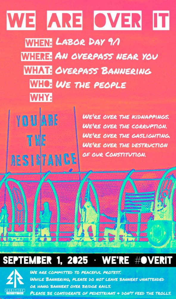 A pink and orange sky above a pedestrian overpass depicted in turquoise and green. On the overpass protesters hold a large banner that says “You are the resistance” and an upside down American flag.