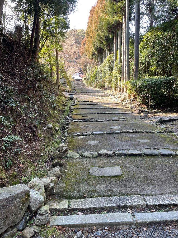 ずんずん奥に行くのが楽しかったです。