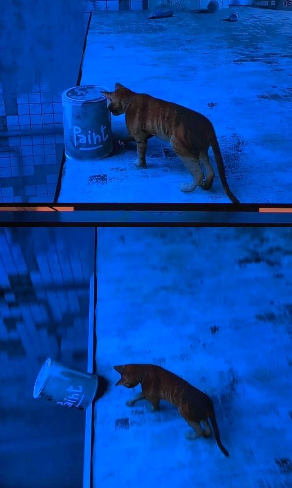 A series of screenshots showing a cat knocking a bucket of paint off a ledge