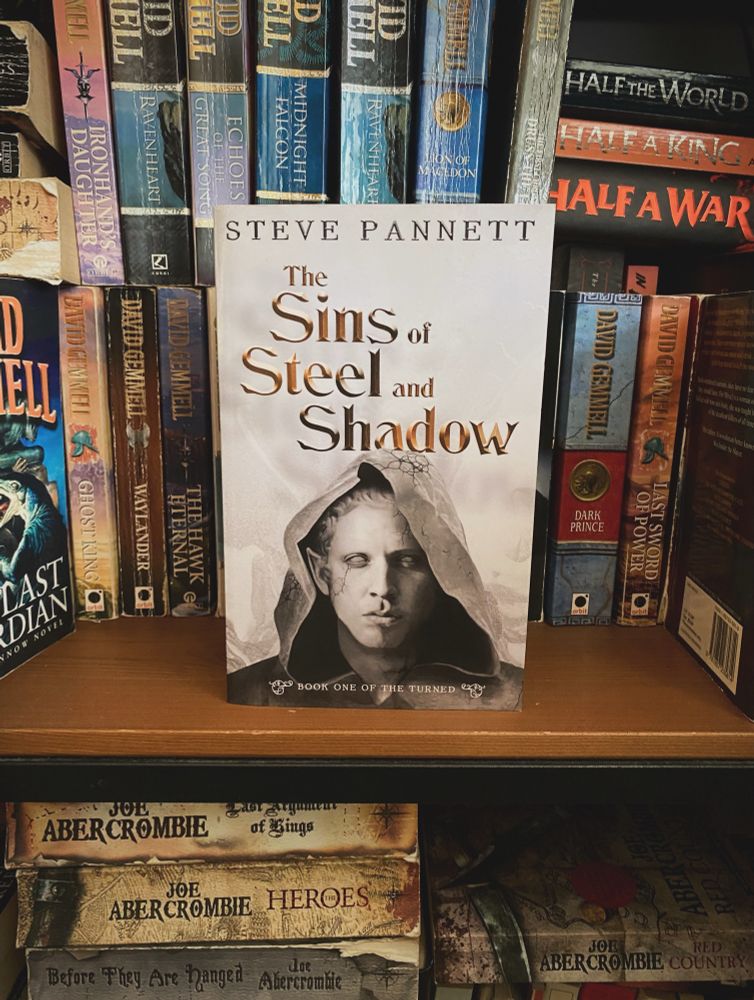 THE SINS OF STEEL AND SHADOW paperback on a bookshelf