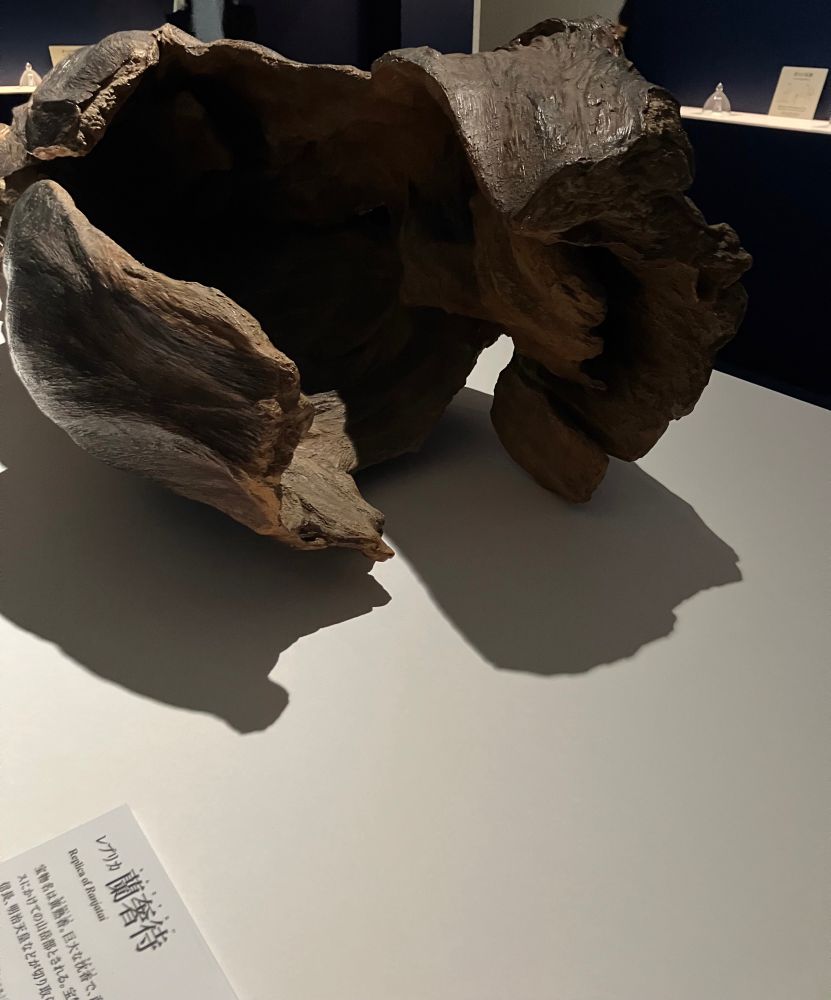 正倉院 the show 東京巡回（上野の森美術館）より蘭奢待の展示室