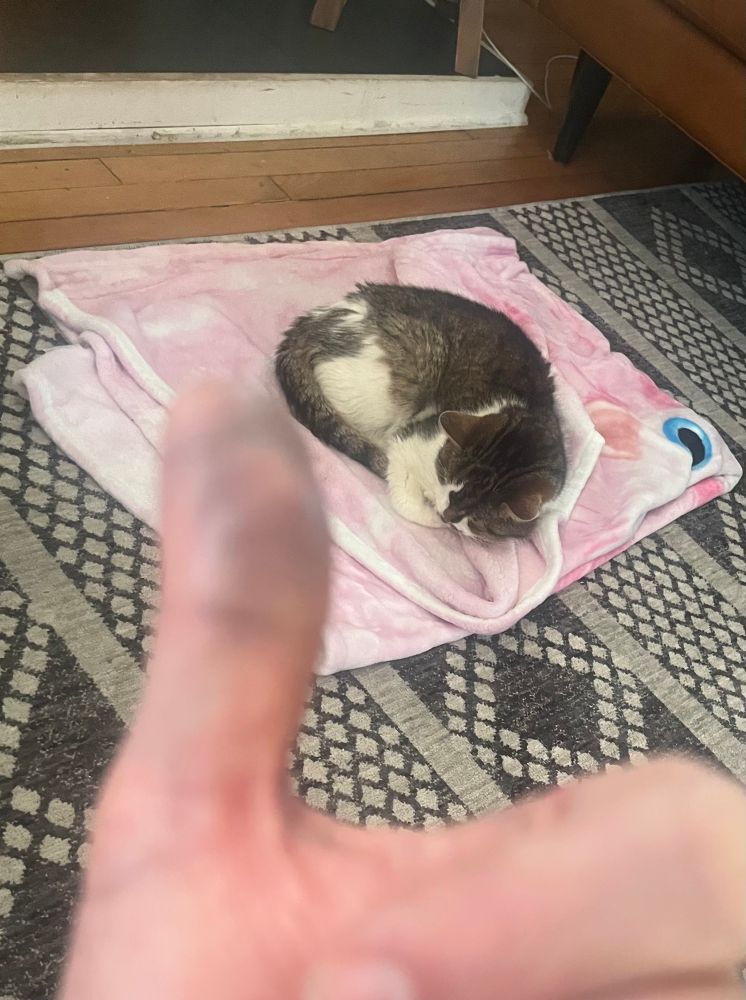 Black and blue thumb with cat sleeping in background. 