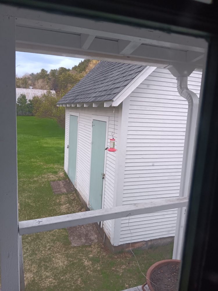 Teeny Ruby throated hummingbird feeds on clear sugar water in a hanging feeder in front of a white clapboard barn with pale blue doors in an early spring field of green grass. Pic vantage taken from a backyard porch.
